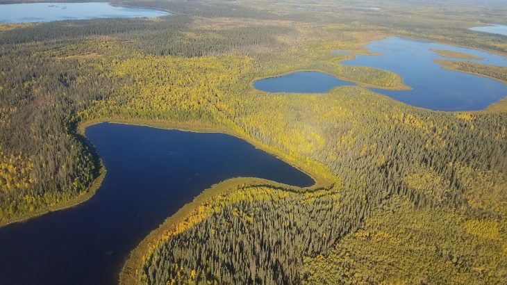 A new study revealed that many Arctic lakes are functioning like self-contained units and are actually not releasing much carbon dioxide.