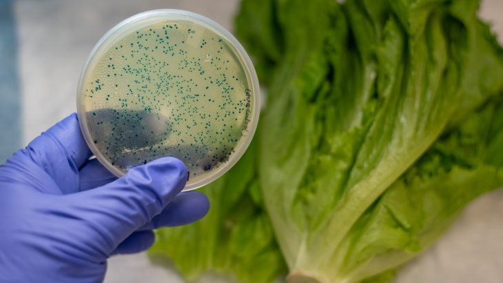 A new report shows growing concern within the industry that extreme weather events are making crops more vulnerable to contamination.