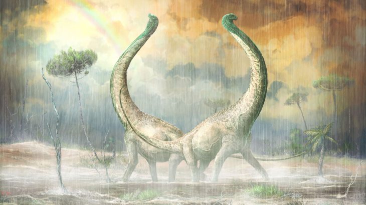 This new dinosaur, which sported a heart-shaped tail, provides new insight into how African ecosystems evolved during the Cretaceous period.