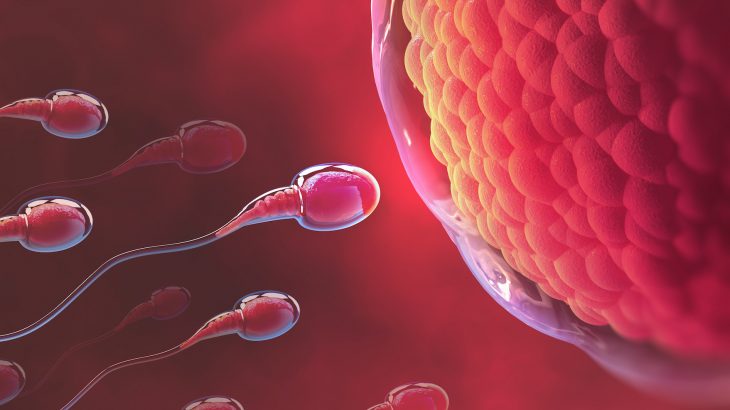 A recent study led by the University of East Anglia has revealed that “older” sperm produce healthier offspring.