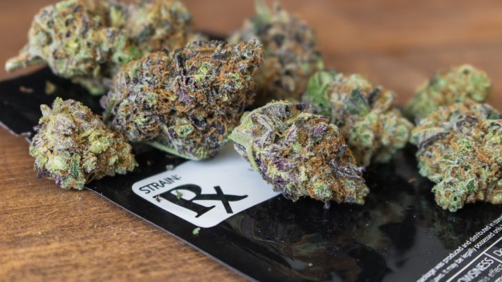 A new study from Boston College found that cannabis use among teenagers actually dropped in states where medicinal marijuana is legal.