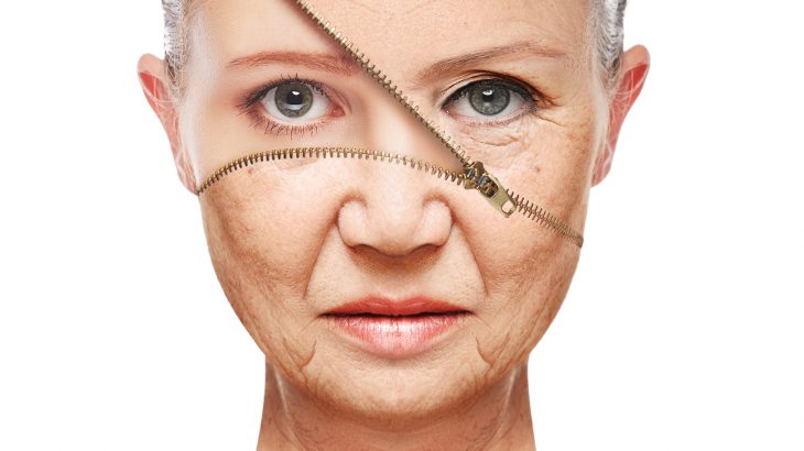 The ribosomal clock will provide unprecedented insight into how the aging process is influenced by factors such as diet and exercise.