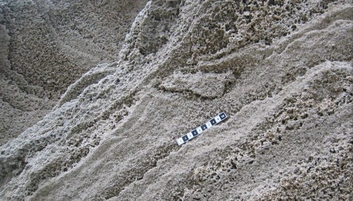 Within the sediment deposits of Gibraltar, researchers have uncovered an ancient footprint that may have belonged to a Neanderthal.