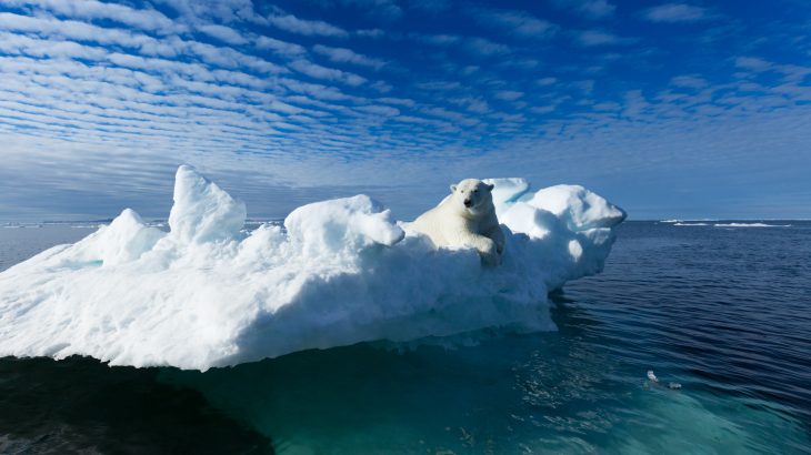 Black carbon has a negative impact on the health of humans and ecosystems and accelerates the speed of snow and ice melt in the Arctic.