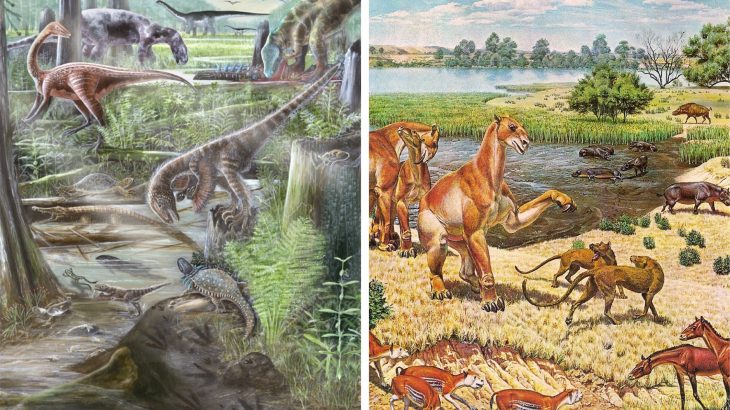 New research shows that the amount of biodiversity we have on land today has remained the same for at least 60 million years.