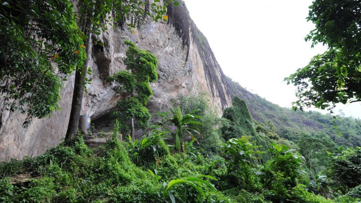 A team of researchers has found that humans hunted small mammals such as primates in the forests of Sri Lanka at least 45,000 years ago.