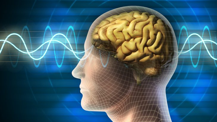 Incredibly, the signals can even jump from neurons in one brain region to another when the tissue has been completely severed.