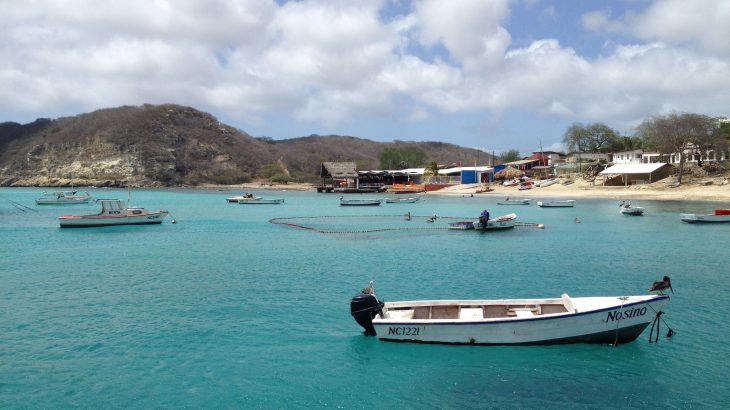 A new study has examined the potential economic and environmental consequences of coral bleaching for 30 islands across the Caribbean.
