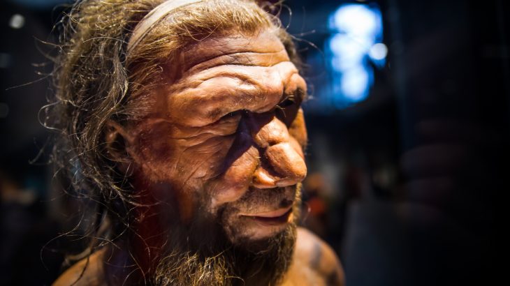 Researchers at the University of Zurich (UZH) have discovered that Neanderthals walked upright just like modern humans.