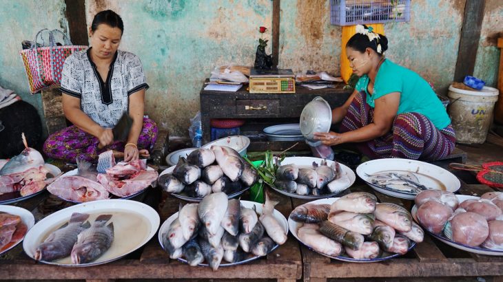 Limiting global warming to 1.5 degrees Celsius would protect millions of tons of fish caught by fisheries and billions of dollars in annual revenues.