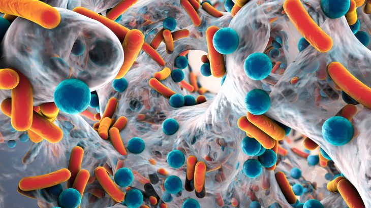 A new study could help further the fight against drug-resistant bacteria due to the discovery of a previously unknown bacteria survival strategy.