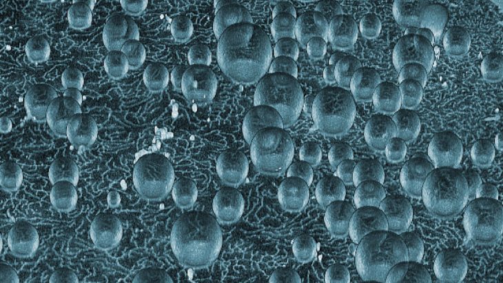 A study by experts at the University of Oslo is shedding new light on the spontaneous events that led to life on Earth.