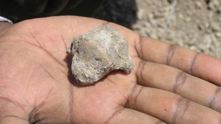 A researcher shows the talus bone of an ancient human ancestor, Ardipithecus ramidus. Image credit: Case Western Reserve University.