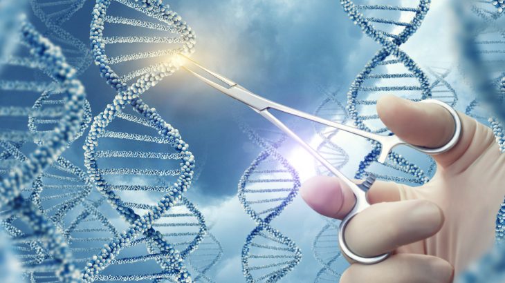 Manipulating a particular gene in roundworms not only doubles their life expectancy but also improves the fitness of the worm’s offspring.