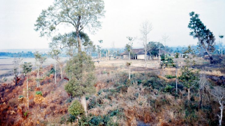 New research has revealed that toxic byproducts of the herbicide Agent Orange used by the US military continue to contaminate soils in Vietnam today.