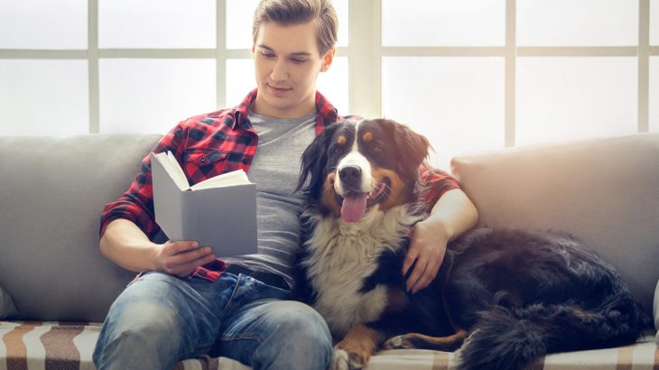 Researchers have found that exposure to chemical pollutants in the home environment can degrade fertility in both human men and domesticated dogs.