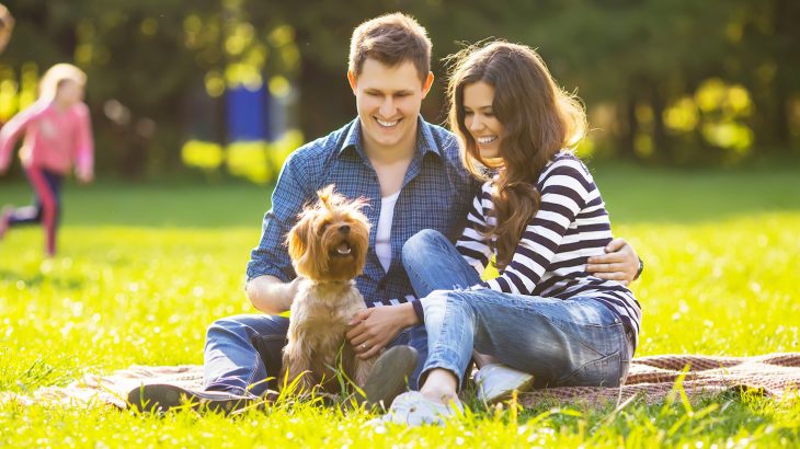 Researchers found that spending just 20 minutes in the park was enough to improve mood and boost happiness whether or not participants engaged in physical activity in the parks.