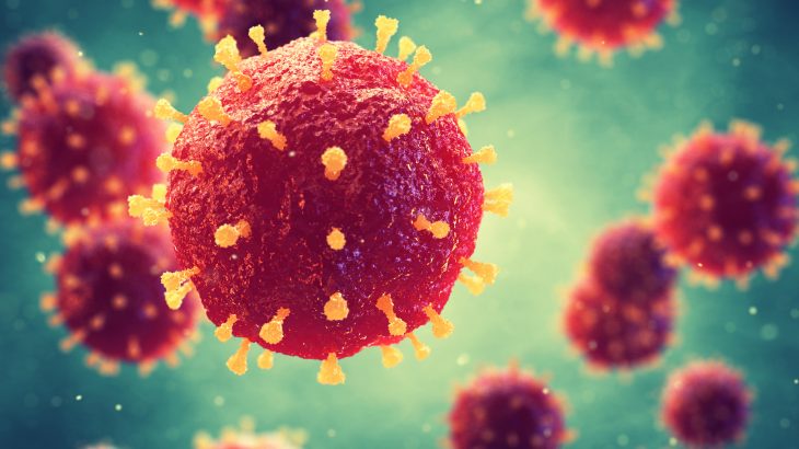 The 2015-2016 El Niño event resulted in precipitation levels and vegetation that created the perfect conditions for dengue fever, cholera, and the plague to spread.