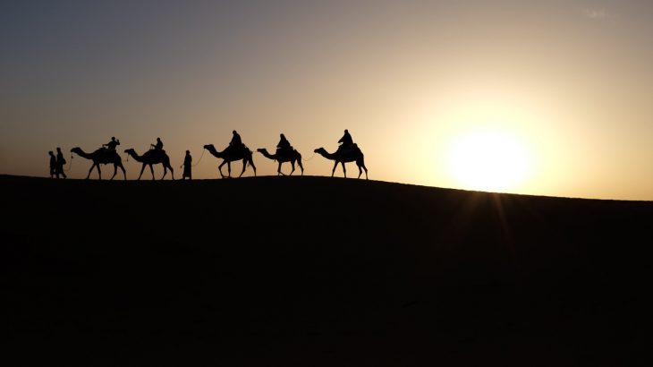 desert animals hardore