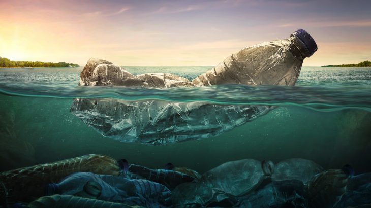 A new report from WWF International warns that the amount of plastic waste in the world's oceans will reach 300 million tons by 2030.