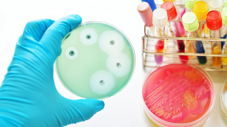 A new study has produced the first dataset that can be used to compare the levels and types of antimicrobial resistant bacteria present in people across the globe.