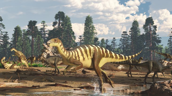 A new species of small dinosaurs has been described based on the discovery of five fossilized upper jaws in the Gippsland region of southeastern Australia.