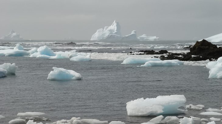 Suitable conditions for marine microorganisms will become extremely limited in the Southern Ocean by the end of the century.
