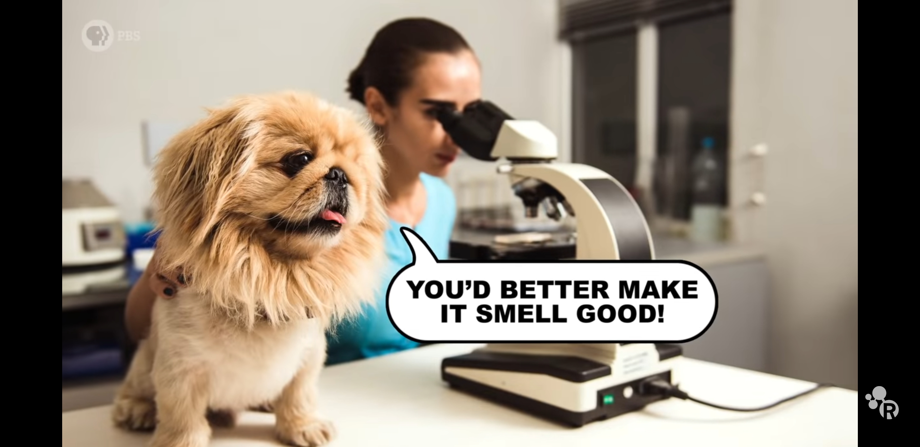 What makes some dog food irresistable? •