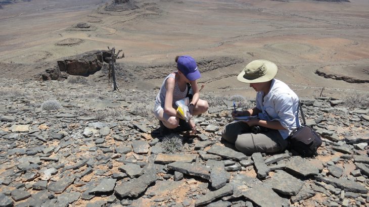 Geoscientists recently found that a important period of animal evolution occurred in stages rather than in a single evolutionary surge, as previously thought.