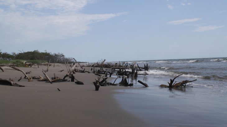 Although they generate hydroelectricity and are a source of renewable energy, inland river dams are damaging to coastlines and fishery habitats.