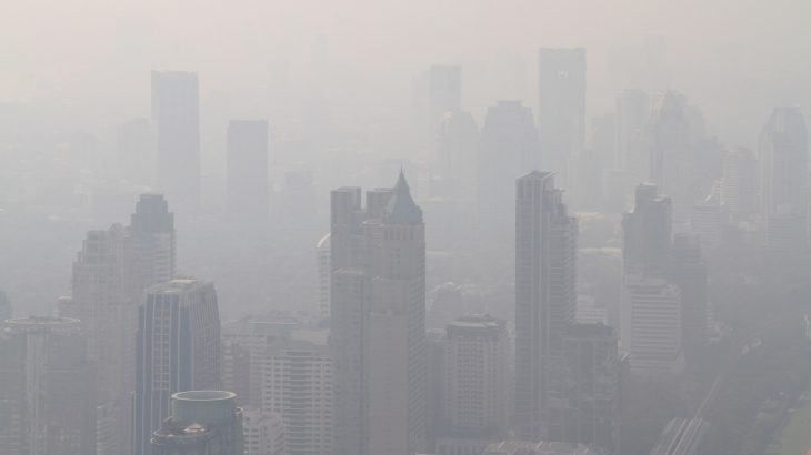 A shocking new report from the United Nations has announced that environmental pollution is to blame for the premature deaths of nine million people each year.
