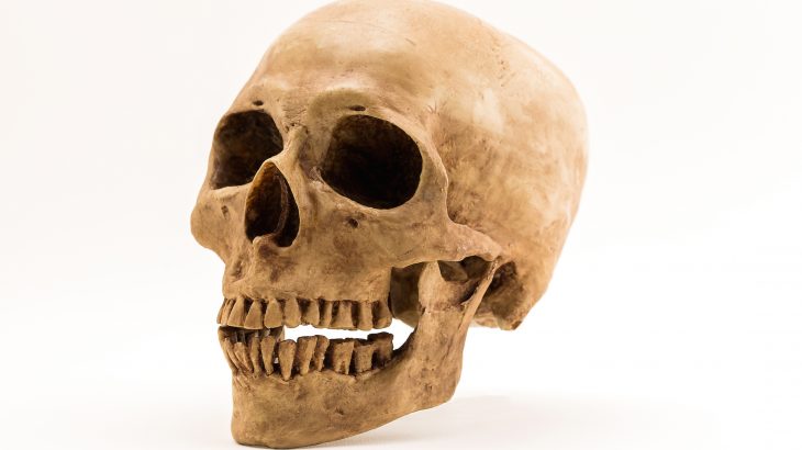 A new study has revealed how changes in the human diet led to the development of new consonant sounds in language and speech.