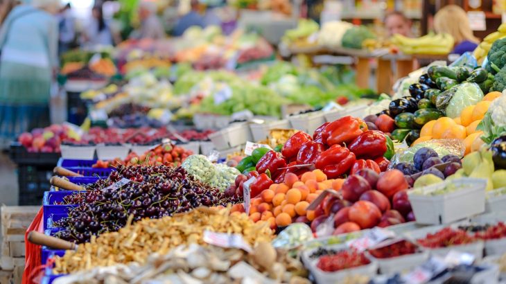 By covering the cost of healthy food with Medicare and Medicaid health insurance, participant health would improve and the plan would become highly cost effective.