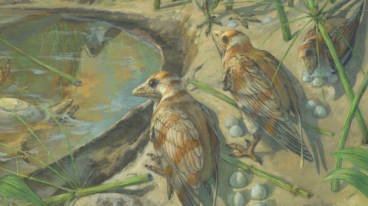 A team of experts led by the Chinese Academy of Sciences has described the first fossil bird ever found with an egg preserved inside of its body.