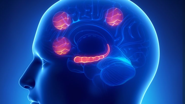 The findings of a new study suggest that subregions of the brain’s prefrontal cortex play an important role in different anxiety disorders.