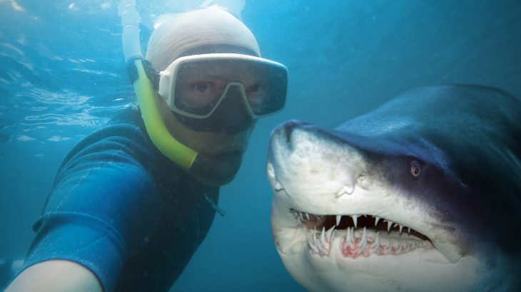 With the costs so high for humans and wildlife alike, we must ask, why do people continue to exhibit such reckless behavior just to take a selfie?