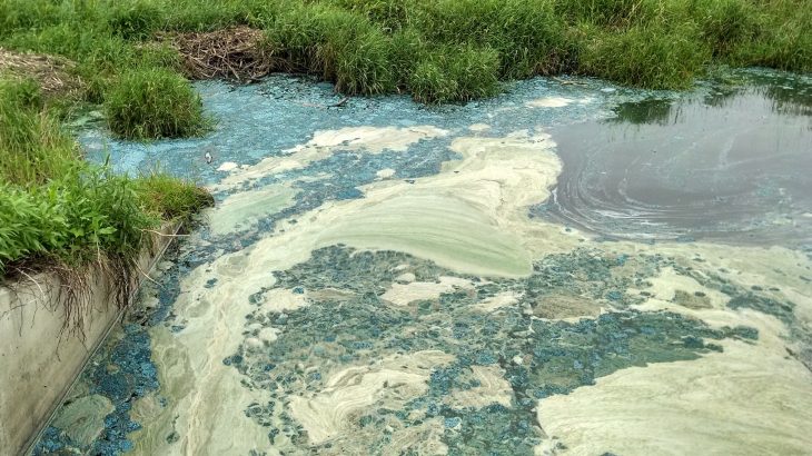 Greening lakes that are plagued with algae can and will cause an increase of methane in the atmosphere from 30% to 90% within the next 100 years.
