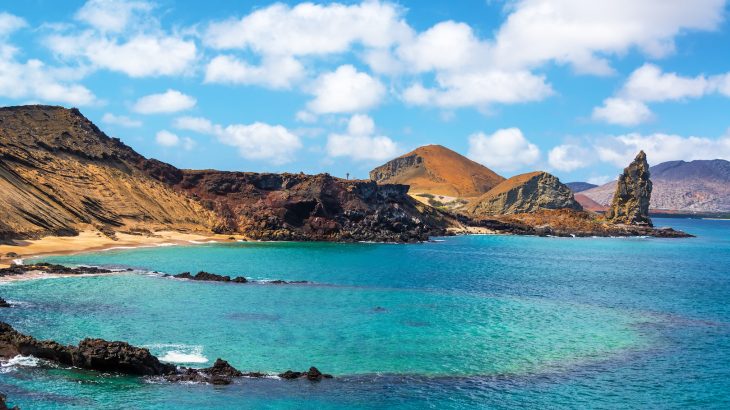 Researchers identified 30 new alien species believed to have been on the Galápagos Islands for decades, yet went unnoticed.