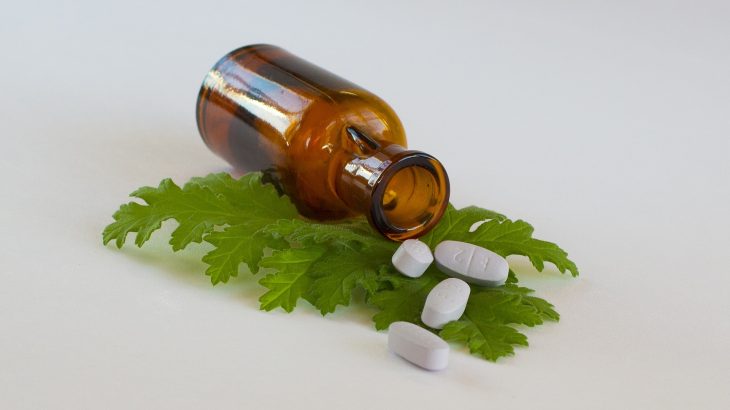 The new method identified over a thousand metabolites in tissues from 12 plant species, including previously unknown metabolites with antibiotic and anti-cancer properties.