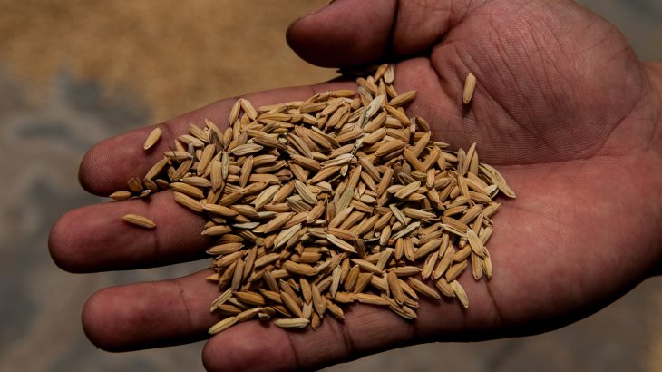 Scientists have developed a tool to determine where farmers are the most susceptible to the changing conditions to guide the distribution of limited funding.