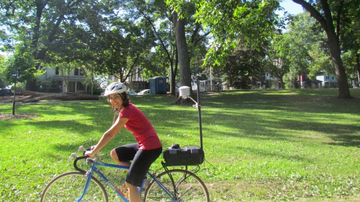 A new study has found that tree cover can help combat the “urban heat island” effect where human activities cause cities to be significantly warmer than surrounding rural areas.