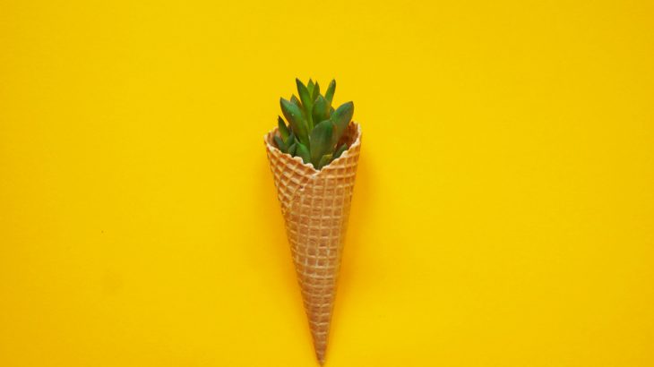 Social media sites are a great place to find gardening hacks - such as turning ice cream cones into seed starters.