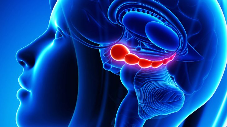 A team of neuroscientists at The University of Texas at Austin have identified a set of neurons that allow disturbing memories to resurface.