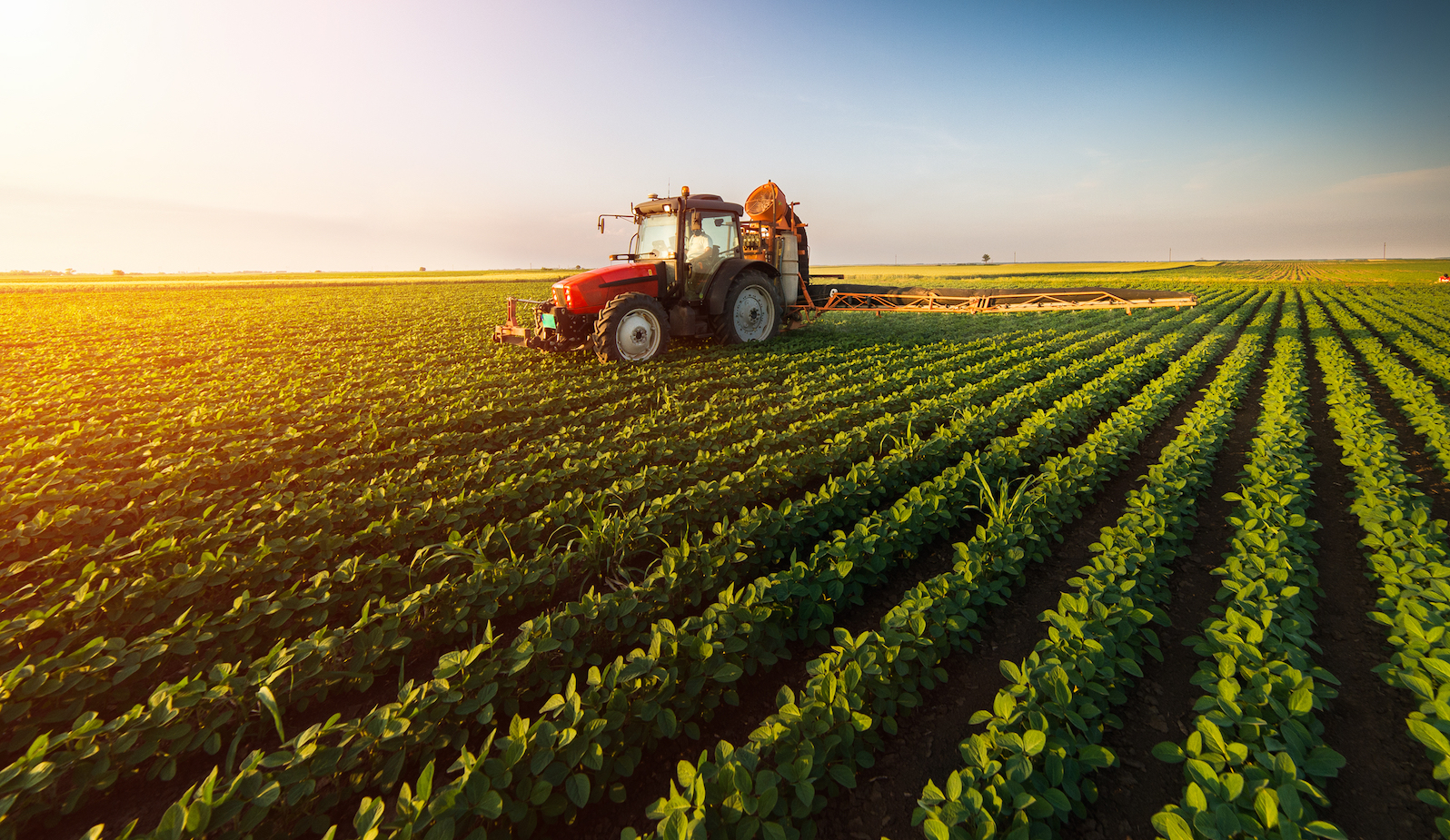 By Altering Photosynthesis Important Crops Can Grow With Less Water 
