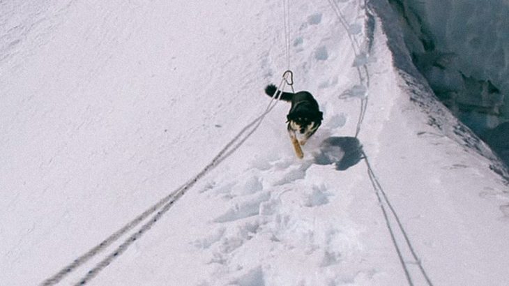One especially skilled dog recently broke the elevation record for canine mountaineers by scaling Baruntse in the Himalayas.