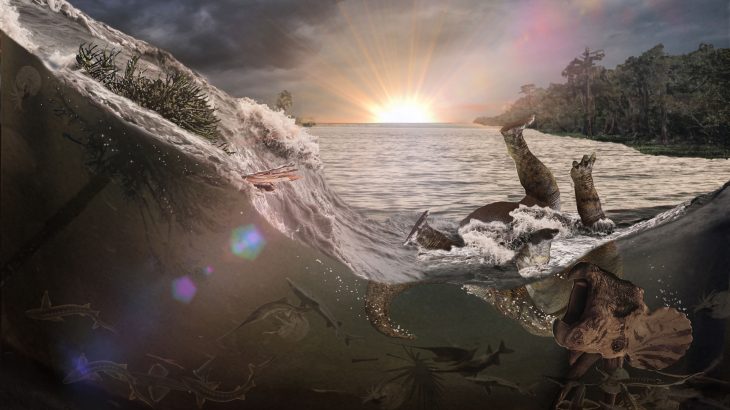It’s a one-of-a-kind dinosaur graveyard, and paleontologists have so far uncovered piles of fish fossils stacked on top of one another.