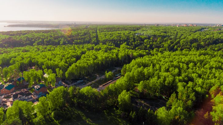 A new study from the University of Illinois has found that areas with more trees and greenspace spend less money Medicare costs.