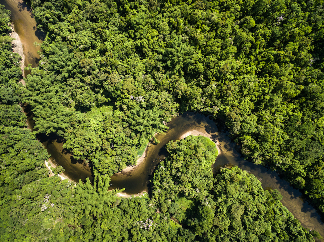 Tree rings reveal precolonial forest management in the Amazon