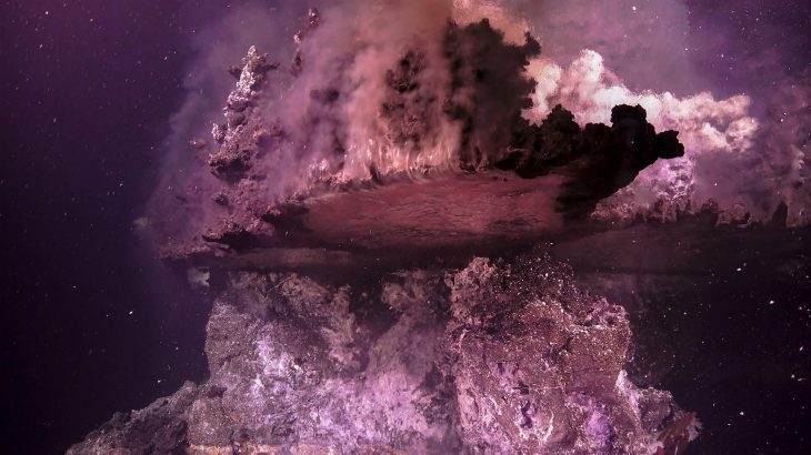 Even though the minerals were loaded with metals and highly sulfidic fluids, the towers were filled with biodiversity and potentially new animal species.