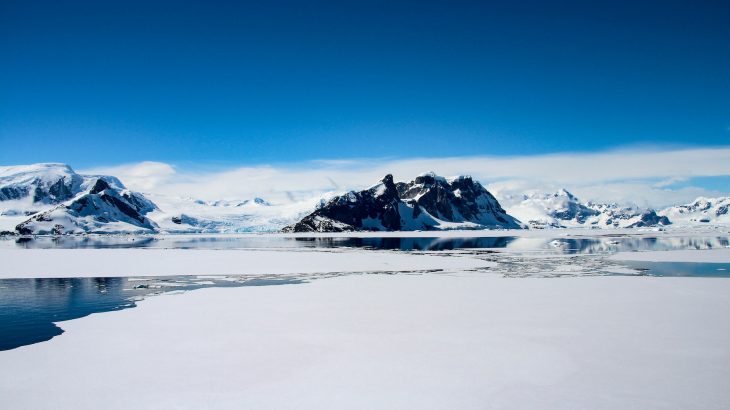 Scientists are predicting that climate change will eventually turn Antarctica green, as ice sheets continue to shrink and the conditions become suitable for plants to return.